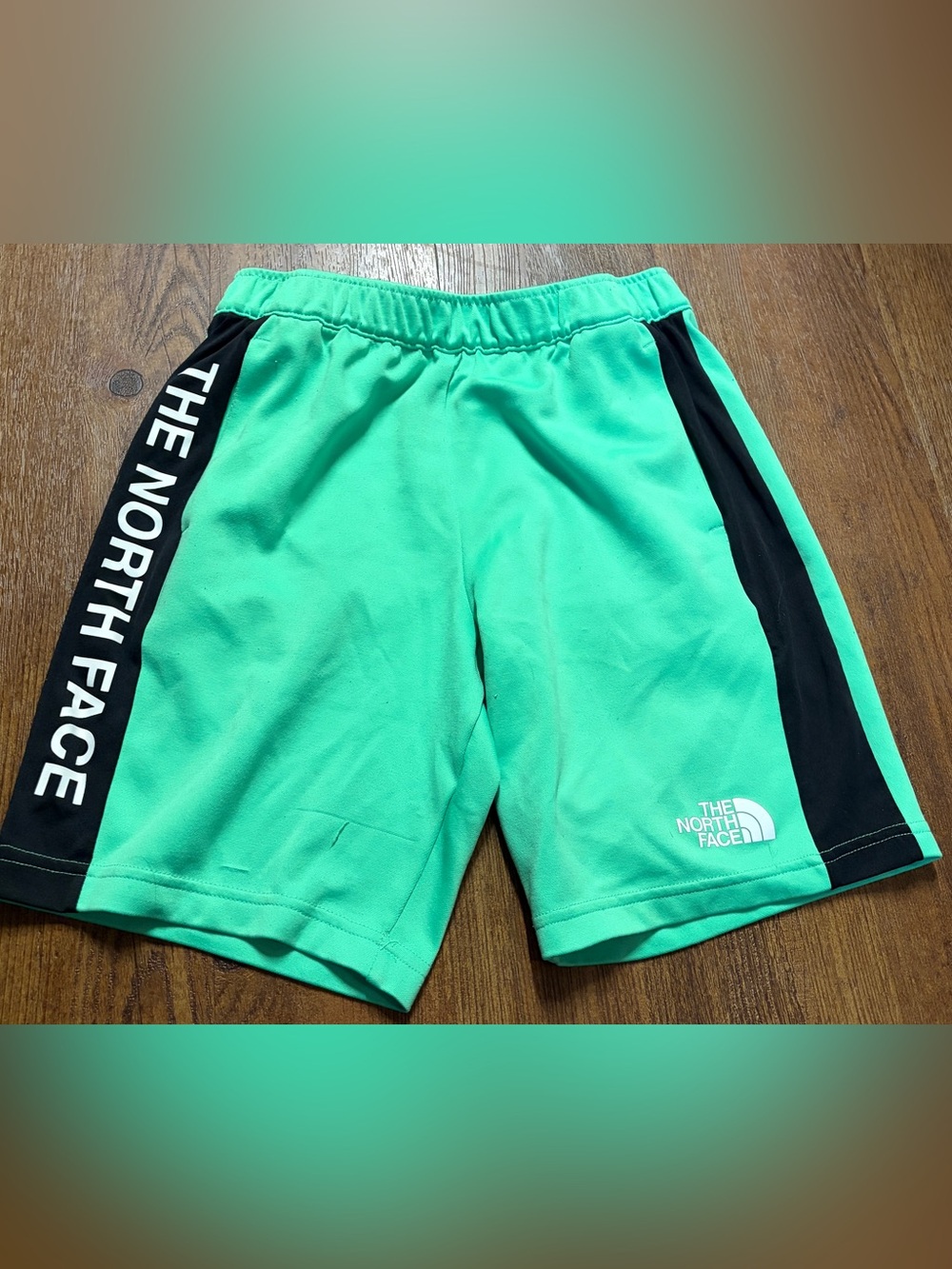 The North Face Shorts
